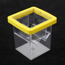 Aquarium Breeding and Isolation Box