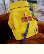 Spring Denim Coat with Leash Ring for Dogs