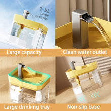 Auto-Filtering Transparent Cat Water Fountain with USB Pump