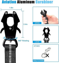 Reflective Shock Absorbing Pet Leashes