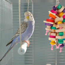 Birds Natural Wood Chew Toys