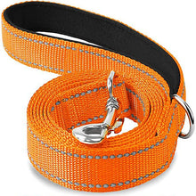 Reflective Pet Harness and Leash Set