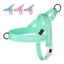 Adjustable Padded Pet Vest