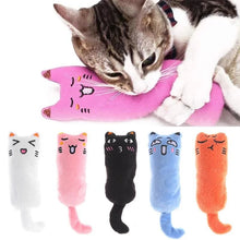 Catnip Cat Toy with Rustle Sound Plush Pillow