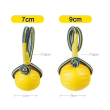 Rubber Dog Ball Training Toy