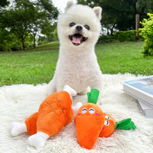 Carrot Squeaky Plush Toy