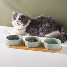 Ceramic Dog & Cat Bowl with Wooden Stand