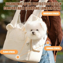 Large Capacity Pet Carrier Backpack