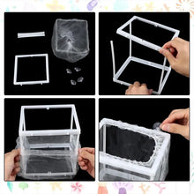 Fish Breeder Box with Suction