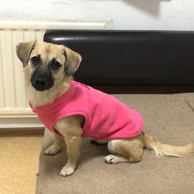 Dog Vest for Winter Clothing
