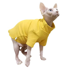 Winter Sphynx Cat Clothes & Warm Pullover