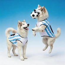 Thin Cool Summer Pet Jersey Vest
