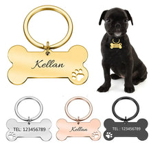 Anti-Lost Pet ID Tag