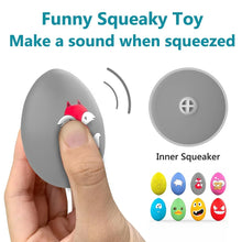 Bouncy Egg Squeaky Toy