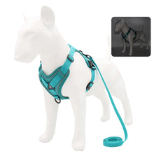 No Pull Dog Harness Set