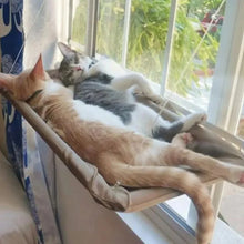 Colourful Aerial House for Kittens