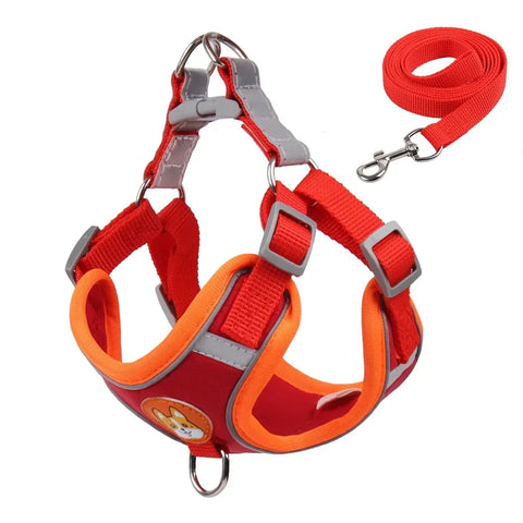 Padded Harness Leash Set for Dogs