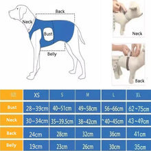 Dog Support Lift Harness