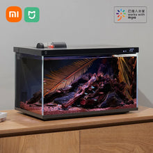 Smart Fish Tank wtih Lighting System