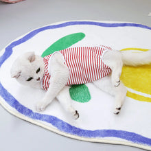 Cat Recovery Clothes