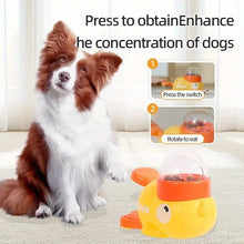 Anti-Slip Dog Puzzle Feeder