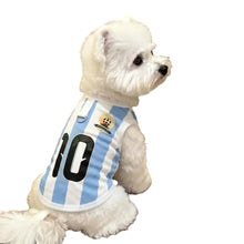 Breathable Dog Football Vest