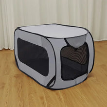 Portable Pop Up Dog Bed