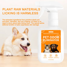 Pet Deodorant and Odour Remover