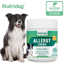 Allergy & Immune Support Chews for Dogs