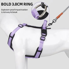 No-Pull Dog Harness, Reflective & Padded, Adjustable for Small & Medium Dogs