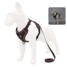 No Pull Dog Harness Set