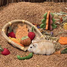 Natural Hamster Chew Treat