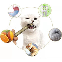 Cat Silvervine Stick Chew Toy