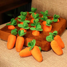 Carrot Inspired Pet Toys