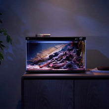 Smart Fish Tank