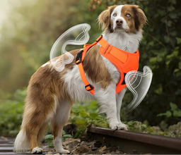 Pet Reflective Nylon Vest Harness
