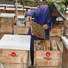 Beehive Tags
