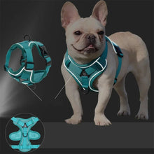No Pull Adjustable Dog Leash