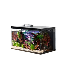 Smart Fish Tank