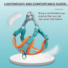 Step-in Reflective Dog Harness & Leash Set - Adjustable for Small & Medium Dogs