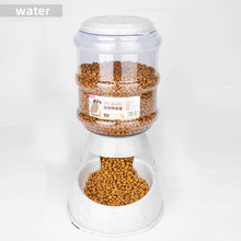Dog Food Bowl Automatic