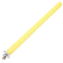 Colourful Parrot Claw Stick