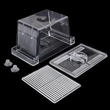 Acrylic Fish Breeding and Isolation Box