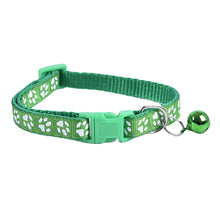 Comfy Collars for Pets