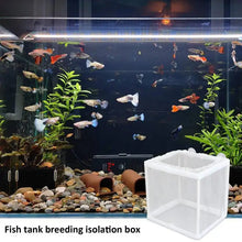 Fish Breeder Box with Suction