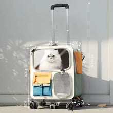 Portable Travel Pet Trolley