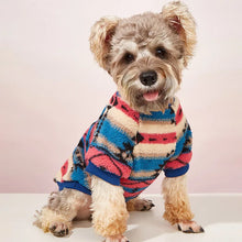 Thick Plush Winter & Autumn Pet Hoodie