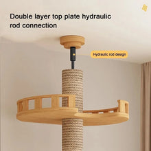 Multi Level Ceiling Cat Tree