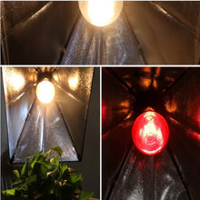 Infrared Heat Bulb for Pet Warmth