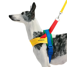 Dog Rope Collar Harness Multifunctional Tow Leash